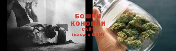 метадон Сафоново
