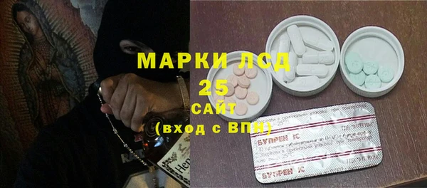 индика Сатка