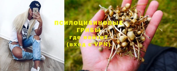 тгк Алзамай